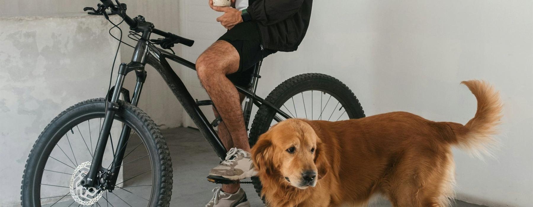 a man sitting on a bike next to a dog